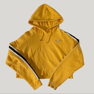 Hollister Cropped Sweatshirt